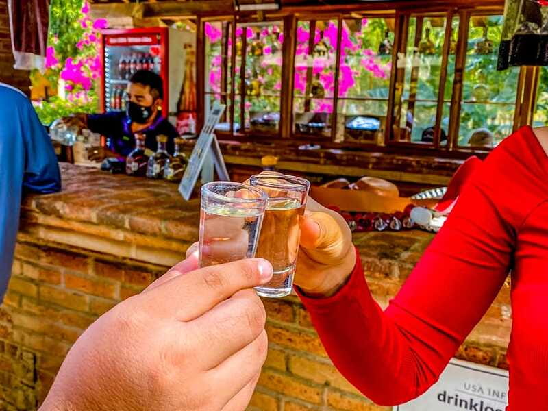 Mazatlán: Tequila Factory & Country Sightseeing - What the tequila lesson should explain