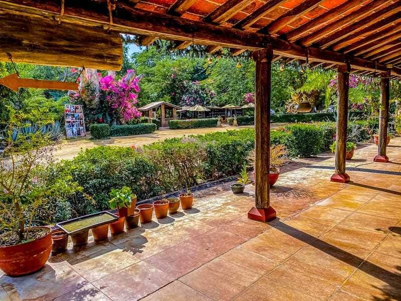 Mazatlán: Tequila Factory & Country Sightseeing - Who should book this experience?