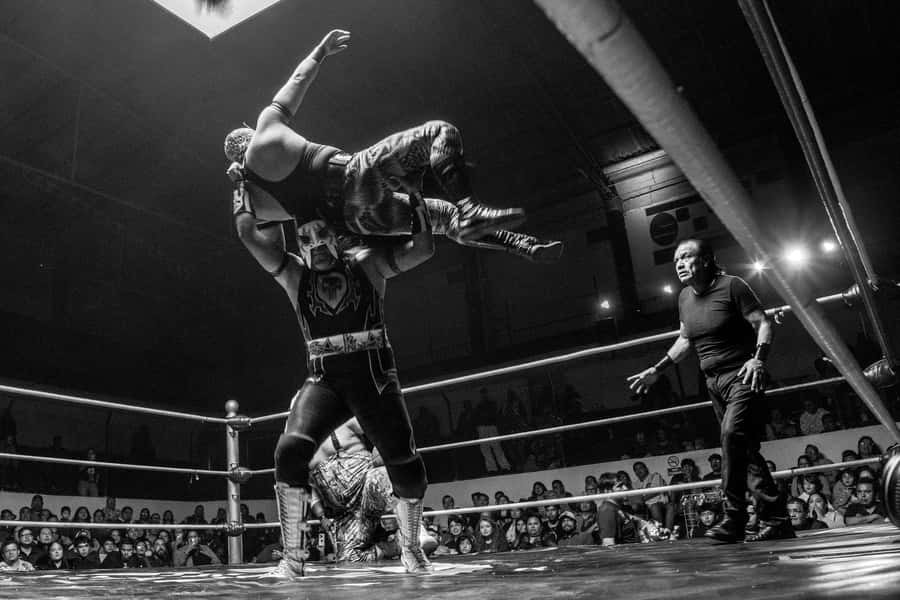 Mexico City: Mexican evening, lucha libre, and tequila - Key Points To Know Before You Go