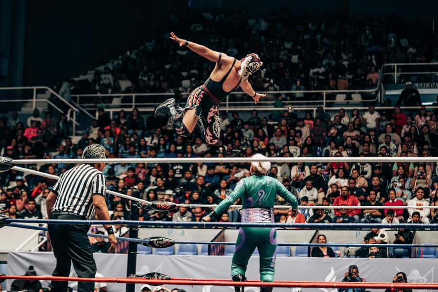 Mexico City: Mexican evening, lucha libre, and tequila - Walking Through Mexico City’s Historic Center