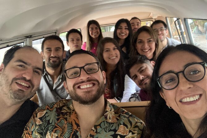 Mexico City PRIVATE Lucha Libre, mezcal & Tacos on a 1975 VW Bus - Who should book this experience?