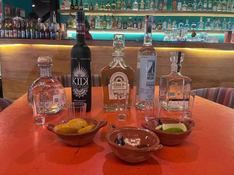 Mexico City: Tequila and Mezcal Museum Tour with Tasting - Agave, production, and the difference between the two spirits