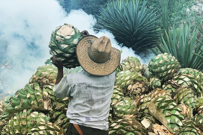Mezcal Day Experience - Key points at a glance