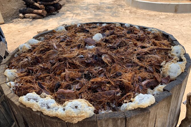 Mezcal Day Experience - Pulque and the wider world of agave