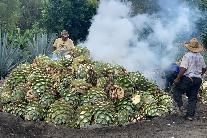 Mezcal Day Experience - Lupita’s role in the day
