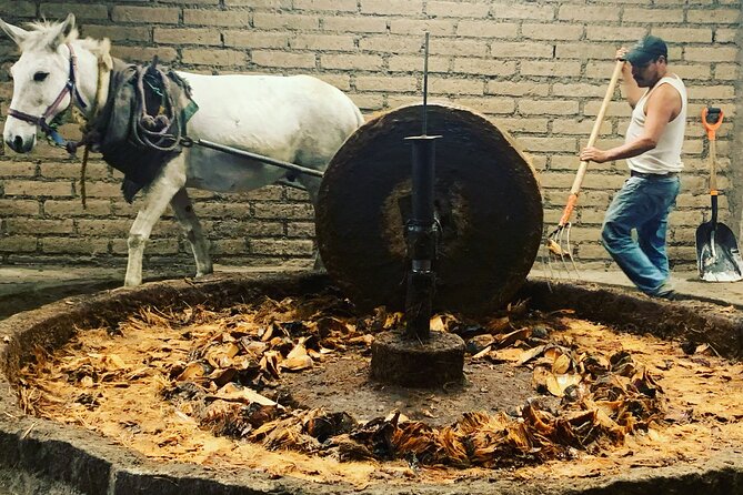Mezcal Day Experience - Timing, comfort, and practical details