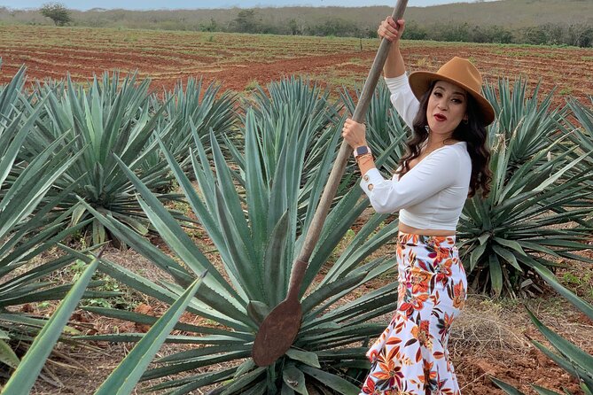 Mezcal Food Tasting Tour with Lunch Included - Quick take: what makes this tour worth your time
