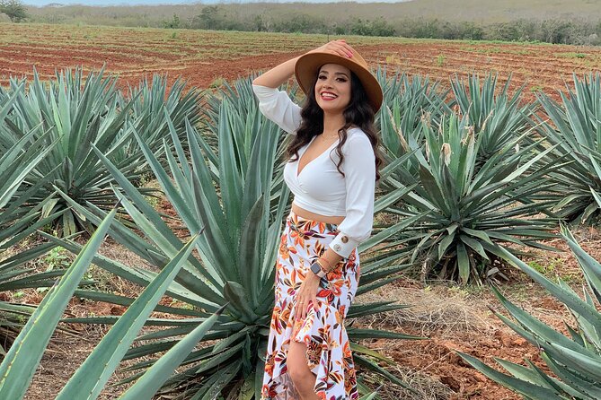 Mezcal Food Tasting Tour with Lunch Included - Why leave central Mazatlán for agave country?