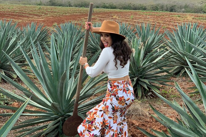 Mezcal Food Tasting Tour with Lunch Included - Inside the mezcal factory