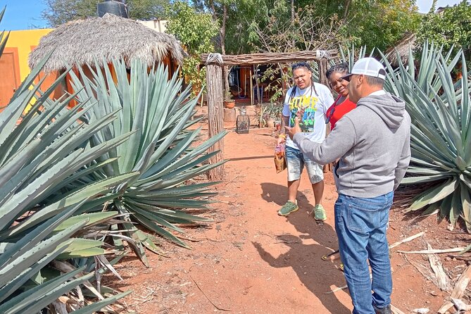 Mezcal Food Tasting Tour with Lunch Included - Lunch with machaca, tortillas, and flambeed cheese