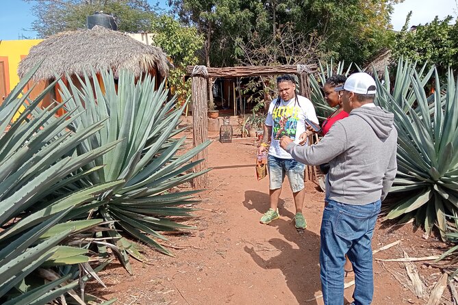 Mezcal Food Tasting Tour with Lunch Included - Who should book this Mazatlán experience?
