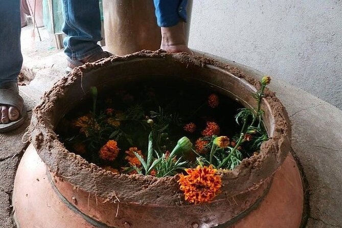 Mezcal Tour Oaxaca - The pulqueria and the wider drinking culture