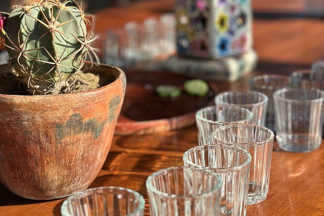 Monte Albán, Hierve el Agua, Mezcal distillery & Teotitlán rugs - Should you book the Oaxaca highlights tour?
