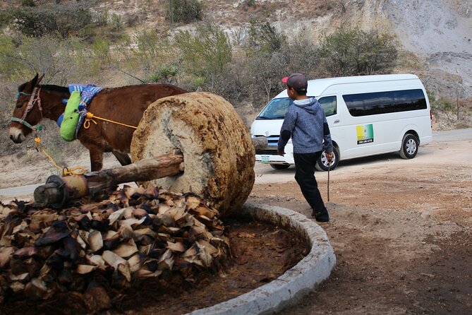 Monte Alban, Teotitlan and Mezcal Tour - How Tomas can shape the experience