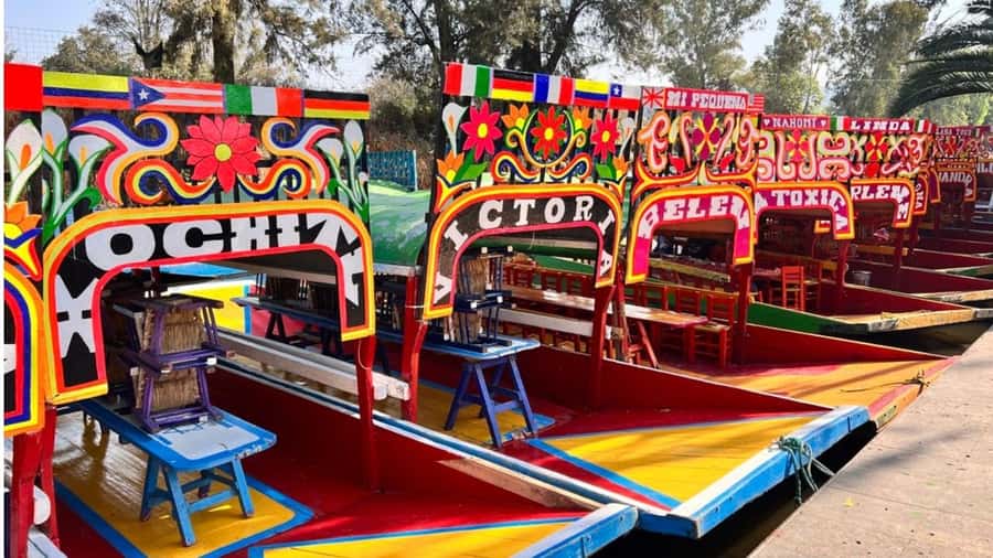 Music and Tequila in Xochimilco visits Coyoacán and CU - Xochimilco by traditional trajinera
