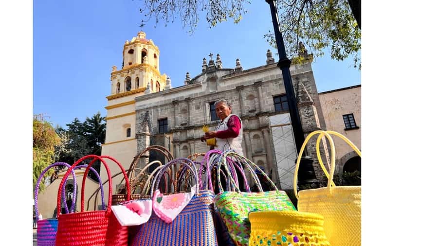 Music and Tequila in Xochimilco visits Coyoacán and CU - The guide can make or break the day