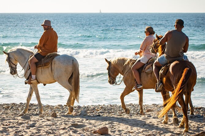 NEW!! Combo ATV & Horseback Ride. Beach & Desert. Tequila Tasting - Who will enjoy this ride most