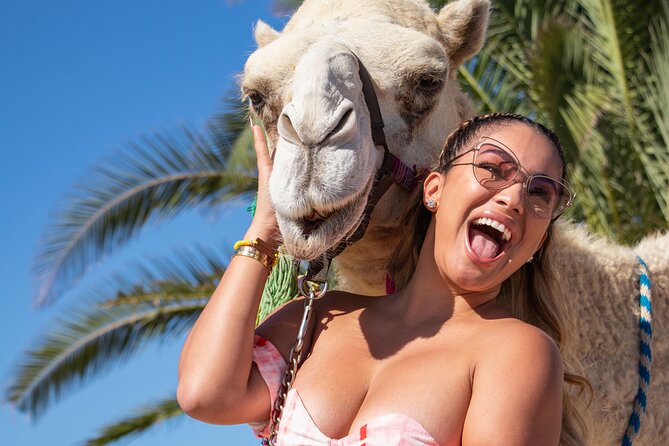 NEW! Combo Camel Beach Ride and UTV 4X4 Cabo Adventure, Tequila & - From Cabo San Lucas to Migriño Beach