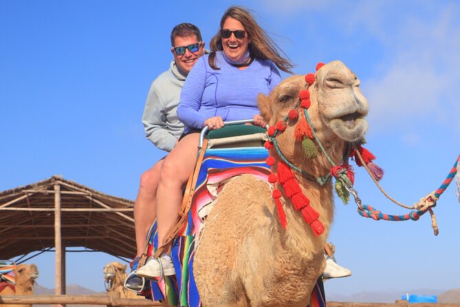 NEW! Combo Camel Beach Ride and UTV 4X4 Cabo Adventure, Tequila & - Should you book the Cabo camel and UTV combo?