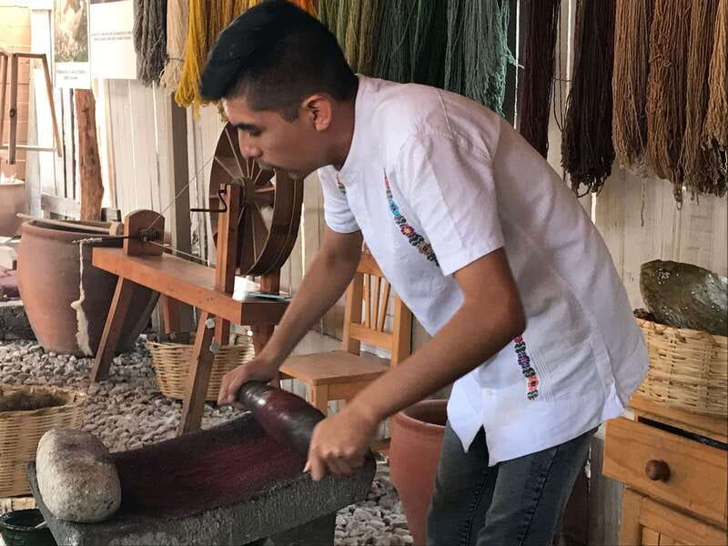 Oaxaca: El Tule tree, Teotitlan Village & Mezcal Tour - Guides can make the short schedule work