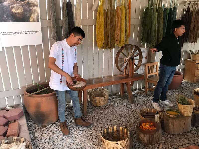 Oaxaca: El Tule tree, Teotitlan Village & Mezcal Tour - Who should book this experience?