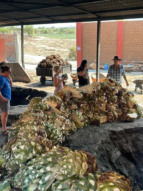 Oaxaca: Hierve el Agua & Mezcal Distillery Small-Group Tour - The day’s main drawbacks