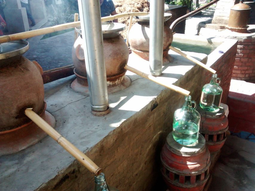 Oaxaca: Mezcal Adventure - Comparing artisanal methods at a second distillery