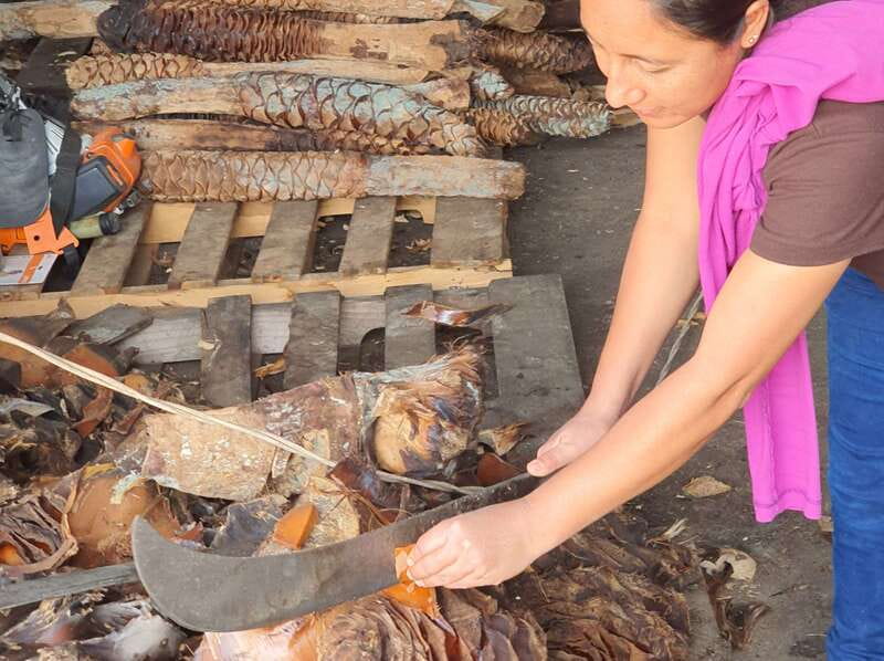 Oaxaca: Mezcal Adventure - Lunch, local food, and the final toast