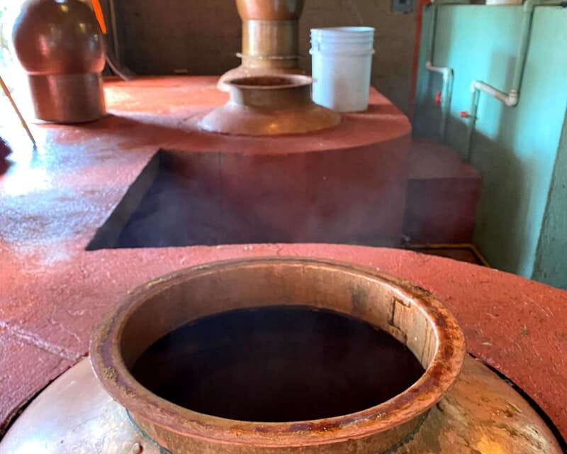 Oaxaca: Mezcal Adventure - The guide can shape the entire day