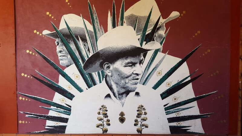 Oaxaca: Mezcal Adventure - Who should book this mezcal day?