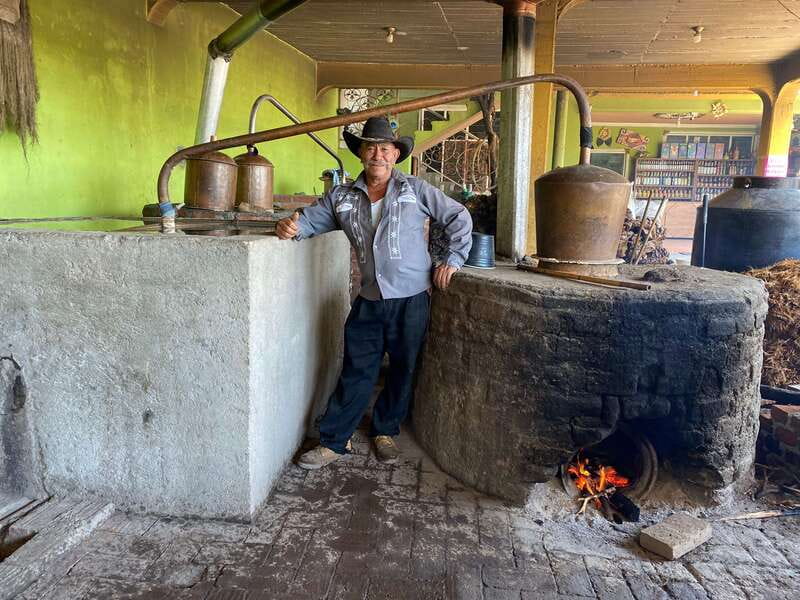 Oaxaca: Mezcal Adventure - Reading the agave fields before tasting