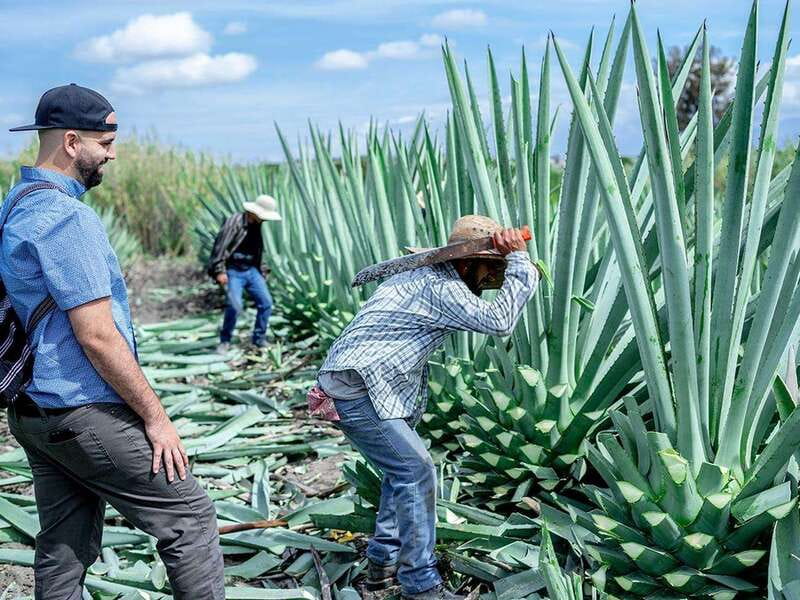 Oaxaca: Mezcal Distillery Tour with Tastings - Key points before you book
