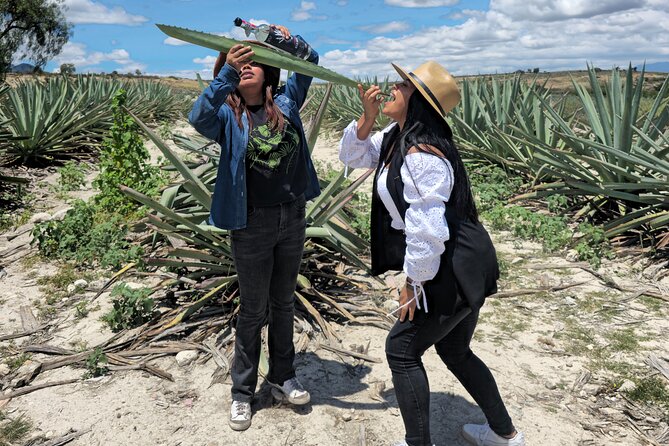 Oaxaca Mezcal & Pulque Tour by Barrel Bus - Inside Palenque Mal De Amor, Mezcal Becomes a Process