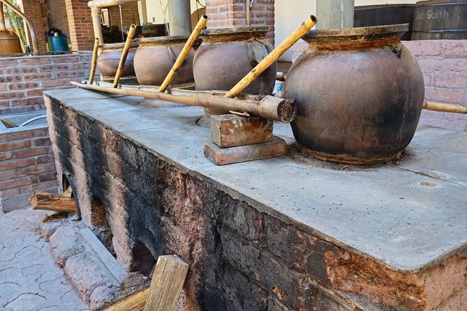 Oaxaca Mezcal & Pulque Tour by Barrel Bus - Agave Fields Give You the Essential Context