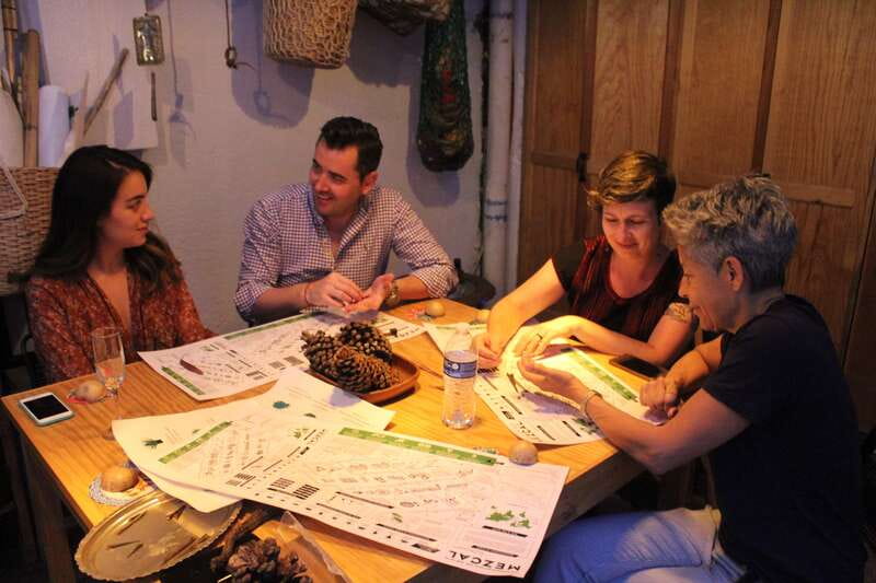 Oaxaca: Mezcal Tasting Session with Expert - What $55 buys you in Oaxaca