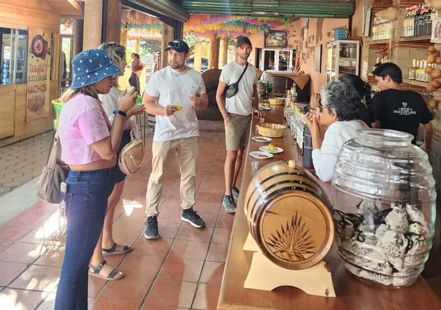 Oaxaca: Tule, Mitla & Hierve el Agua, & Mezcal Tour - Key points to know before booking