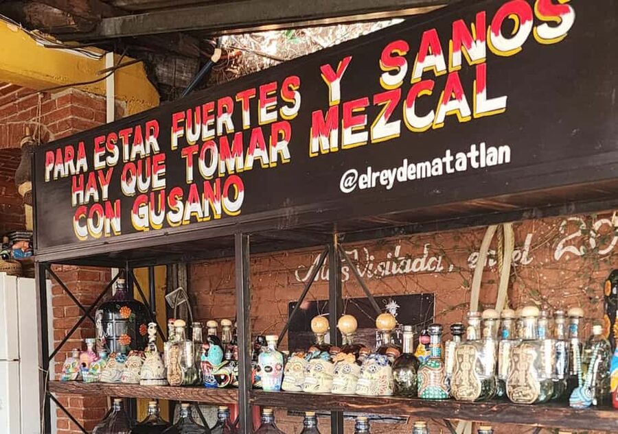 Oaxaca: Tule, Mitla & Hierve el Agua, & Mezcal Tour - The guide can shape the whole experience