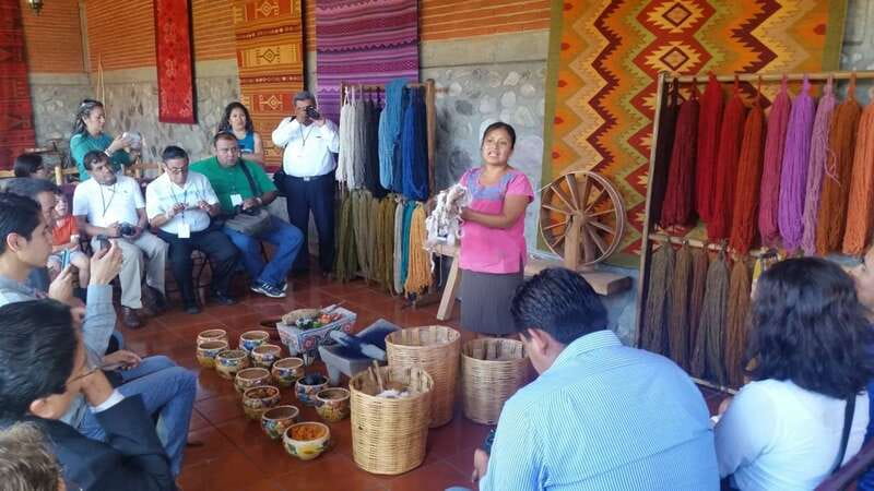 Oaxaca: Tule, Mitla & Hierve el Agua, & Mezcal Tour - The Tule Tree starts the morning with a giant sense of place