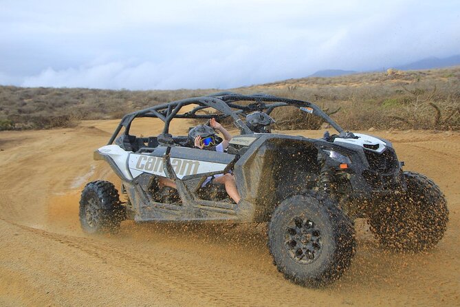 Off-Road Cabo Adventure: Beach and Desert Ride, Tequila Tasting - Guides can make or break the ride