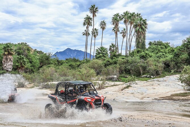 OffRoad 4X4 UTV Adventure with unlimited Lunch & Tequila - Quick take: what makes this Cabo UTV ride different