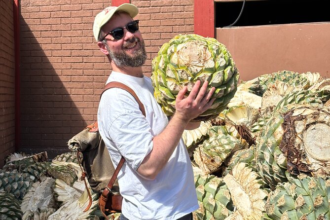 One day trip : Mezcal, Tlayudas & Textil - Key points before you book