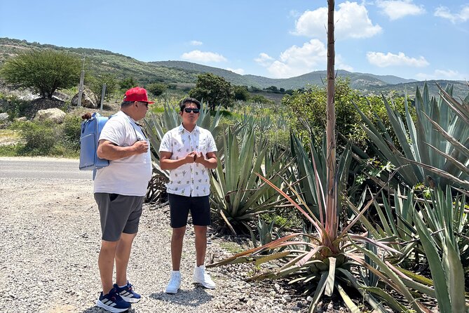 One day trip : Mezcal, Tlayudas & Textil - Who should book this Oaxaca day trip?