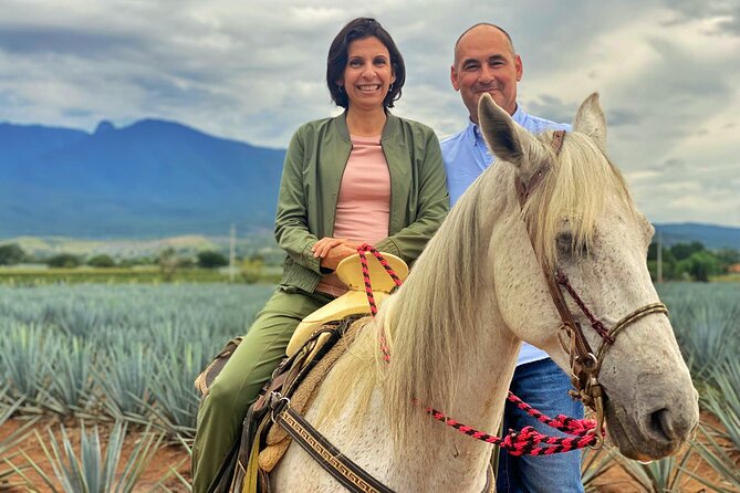 Premium Private Tequila Tour - Starting at La Minerva at 9:00 a.m.