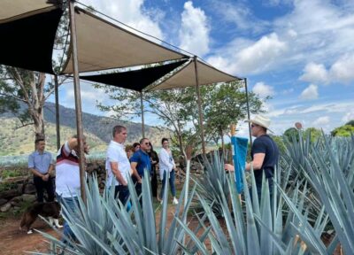 Premium Tequila Route with professional tasting
