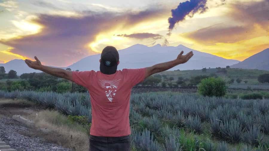 Premium Tequila Route with professional tasting - Who should book this route?