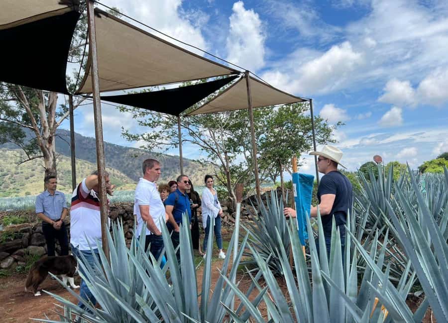 Premium Tequila Route with professional tasting - Leaving Guadalajara for the agave fields