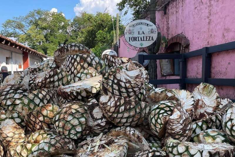 Private Adventure to Tequila and la Fortaleza Distillery - La Fortaleza, the heart of the day