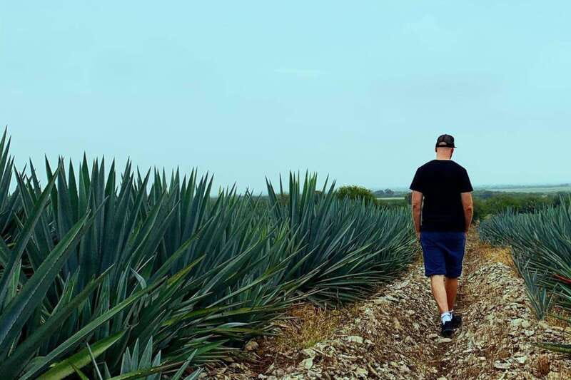 Private Adventure to Tequila and la Fortaleza Distillery - Two hours to wander around the Pueblo de Tequila