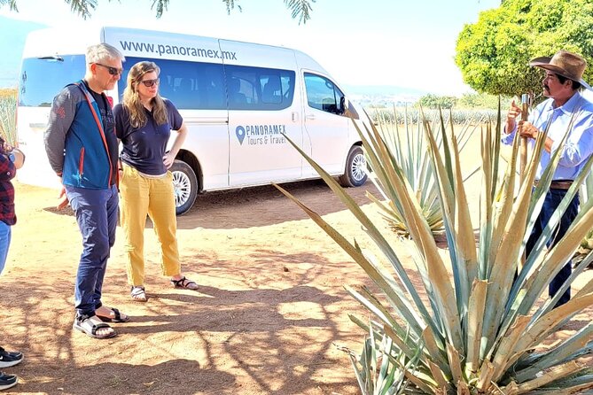 Private Artisanal Tequila Tour - Why this private Tequila day works well