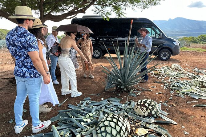 Private Artisanal Tequila Tour - El Arenal introduces Jalisco’s Valles region